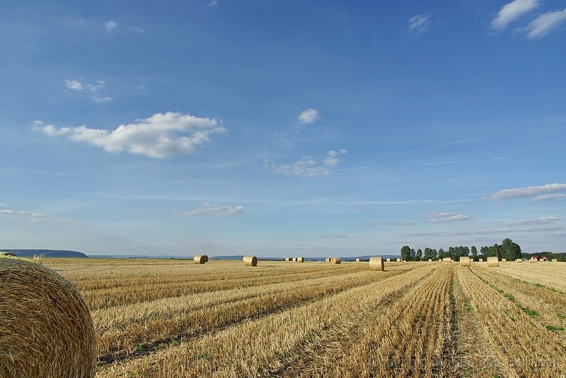 Roellchen2.jpg