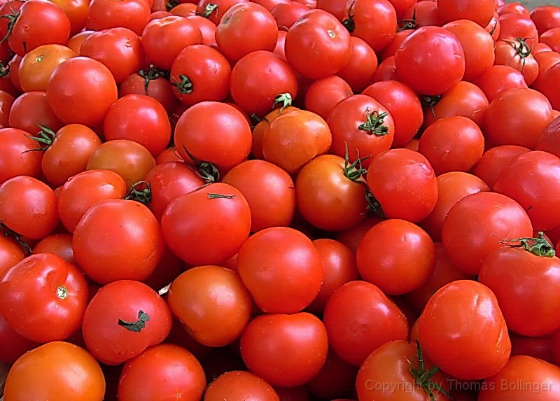 tomaten.jpg