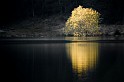 entw-